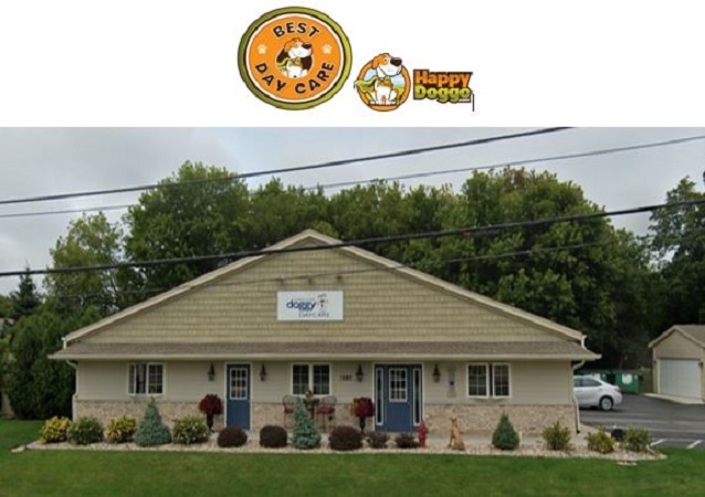 North Shore Doggy Daycare - Selected One of Best 10 Wisconsin Doggy Day Cares ... 