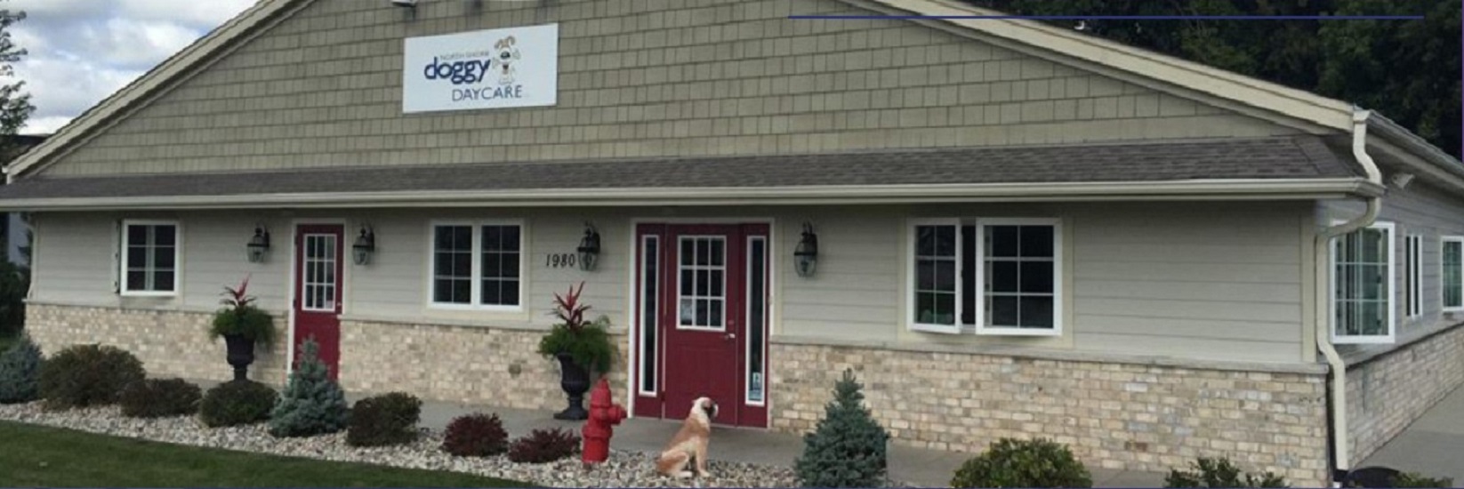 NSDD- North Shore Doggy Daycare - "Dogs Are Special" - Facility  