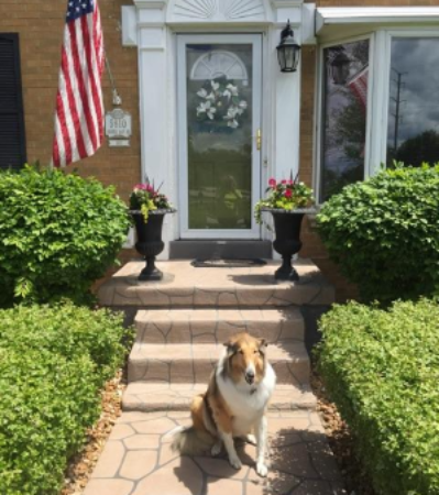 Nessa - Official NSPC Greeter 